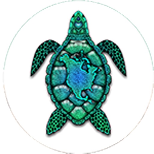 Turtle Nation icon