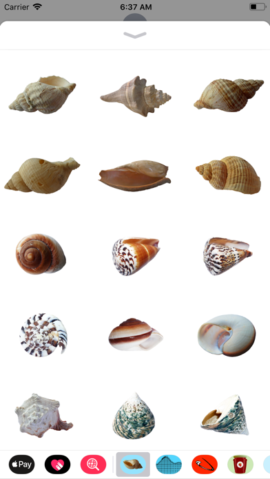 Seashell Stickers screenshot 3