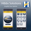 Hibbs Solutions