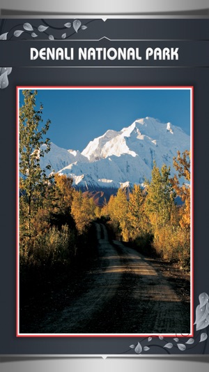 Denali National Park Tours