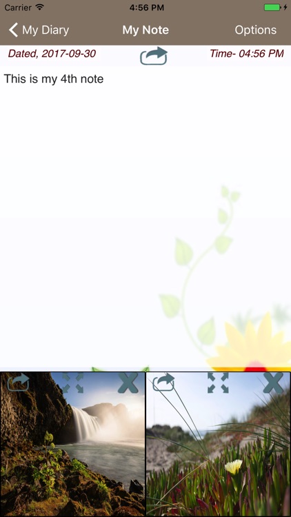 Quick Diary screenshot-4