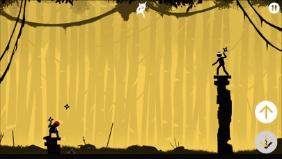 The Ninja - 2 Players screenshot 3