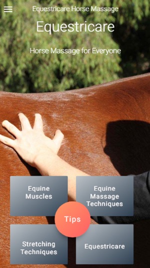 Equestricare Horse Massage(圖2)-速報App