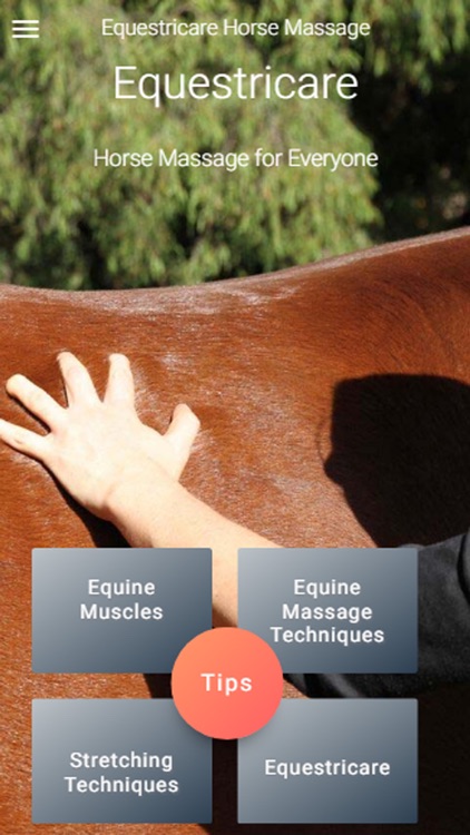 Equestricare Horse Massage