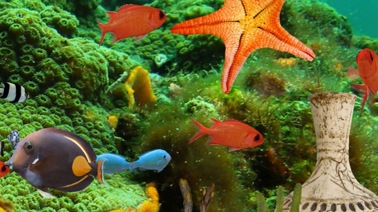 MyReef 3D Aquarium 2 HD screenshot-3
