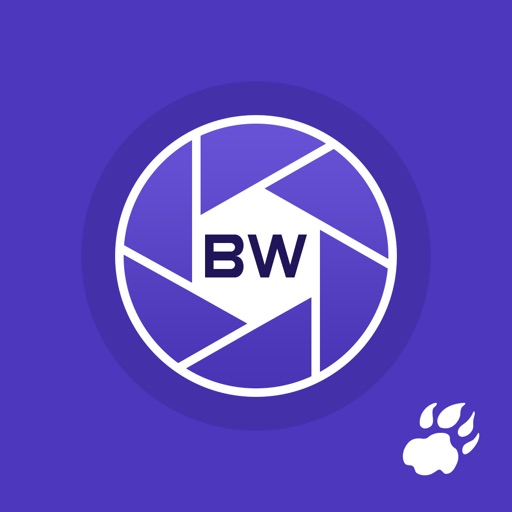 BlitzWolf Shutter iOS App