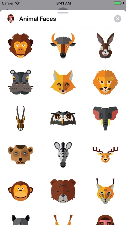 Animal Faces