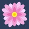 Bienvenue sur l’application Iacom Flower: