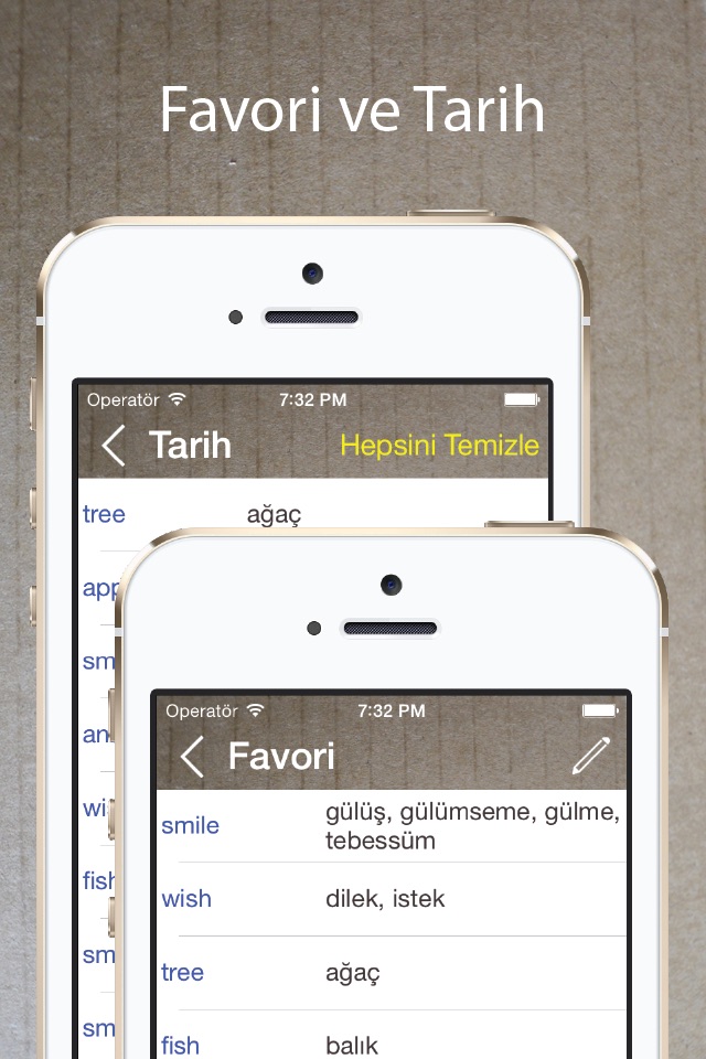 Turkish English Dictionary + screenshot 4
