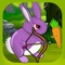Get the carrot - The Rabbits shooting challenge - Free Edition