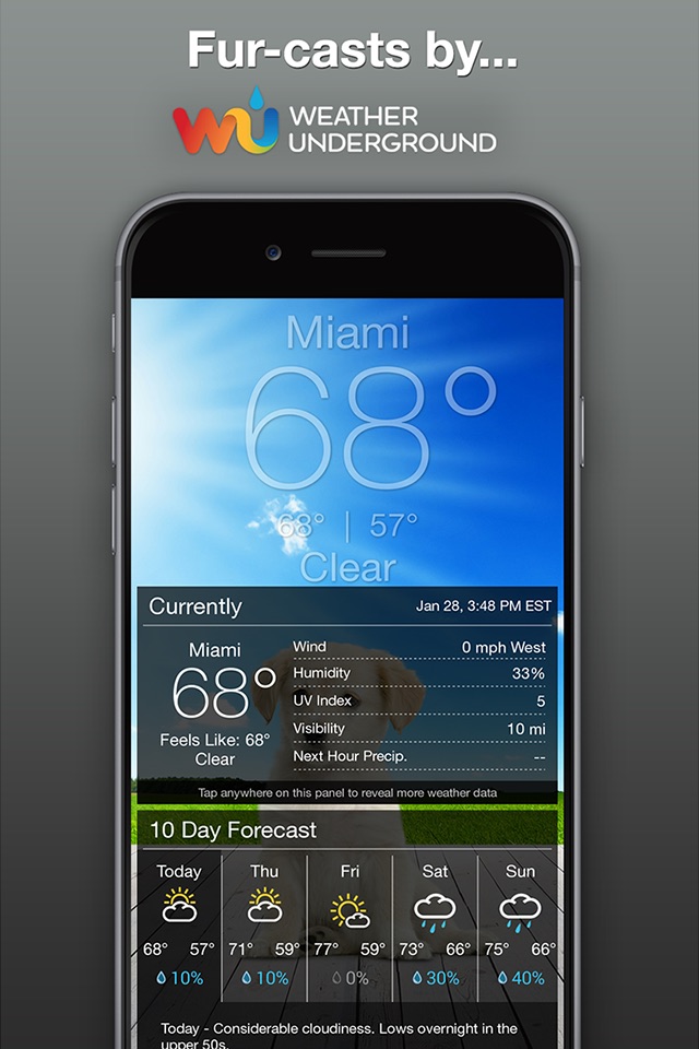 Weather Puppy Forecast + Radar screenshot 4