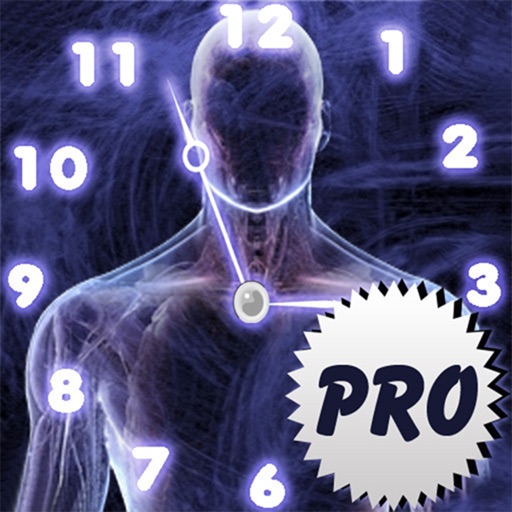 Age Calculator Original Pro iOS App