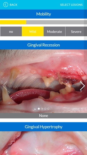 Dental Index(圖2)-速報App