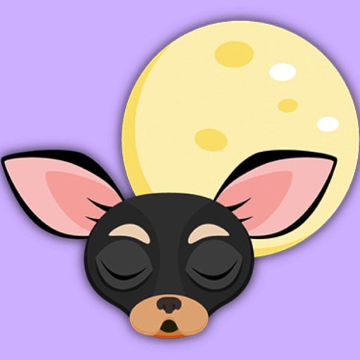 Animated Black Tan Chihuahua icon