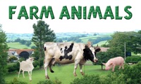 Sounds of Farm Animals