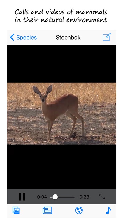 Stuarts' SA Mammals 5th Ed screenshot-3