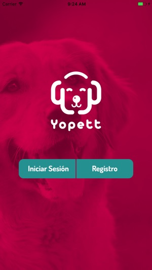 Yopett(圖1)-速報App