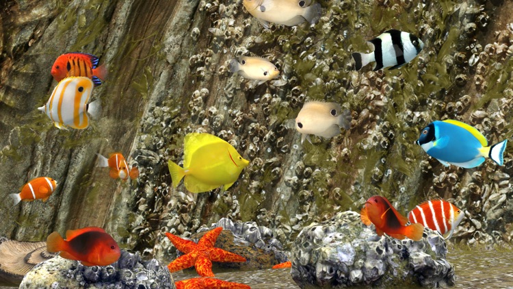 MyReef 3D Aquarium 3 screenshot-4