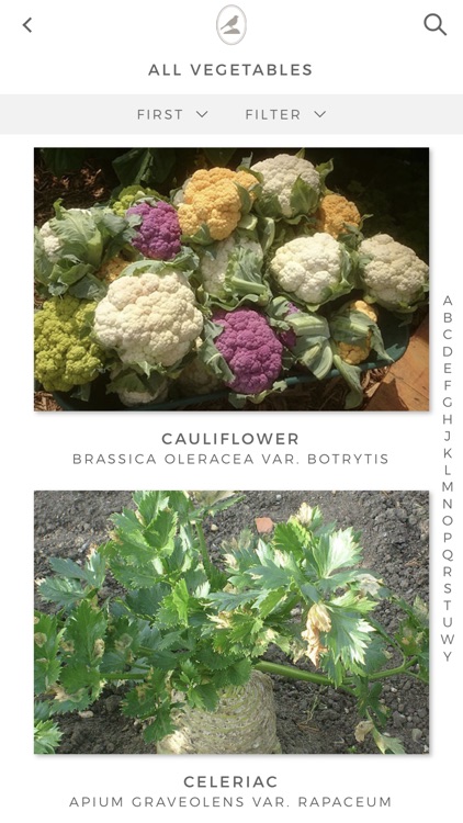 Fieldstone Guide: Vegetables screenshot-7