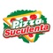 APP para pedidos no estabelecimento Pizza Suculenta