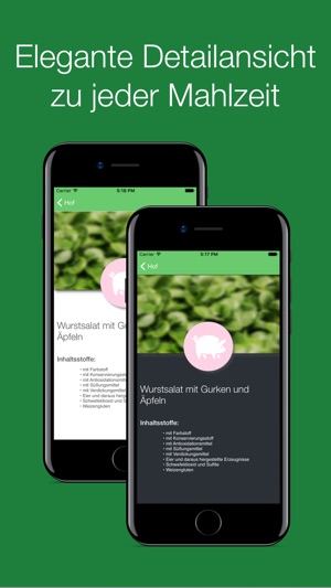 Mensaplan - Oberfranken Bayern(圖2)-速報App