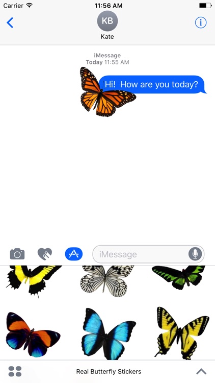 Real Butterfly Stickers