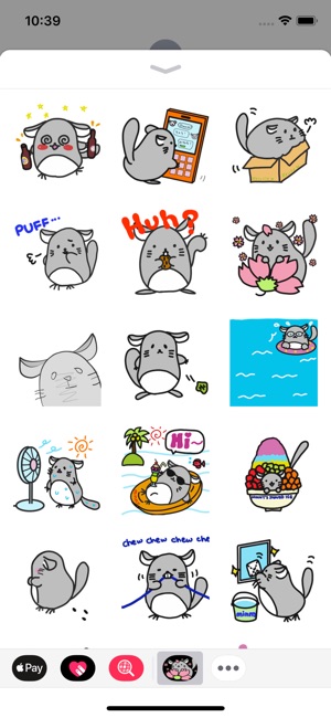 Chinchilla Minny 2(圖1)-速報App