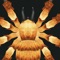 Spider Splatter is a game where you race against the clock to splat as many spiders as you possibly can