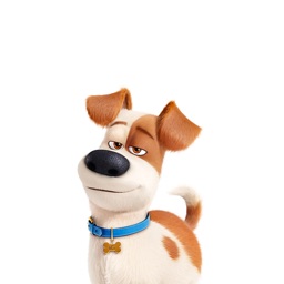 The Secret Life of Pets Stickers