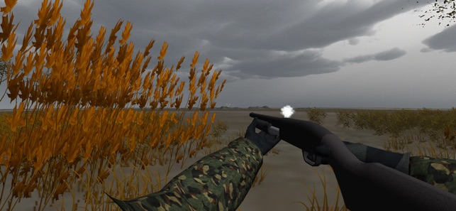 Duck Hunter Pro 3D(圖4)-速報App