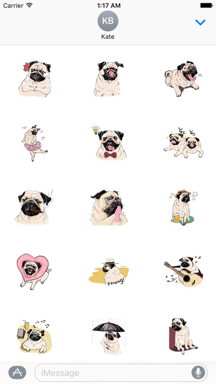 Cute Pug Wonderful Dog Sticker