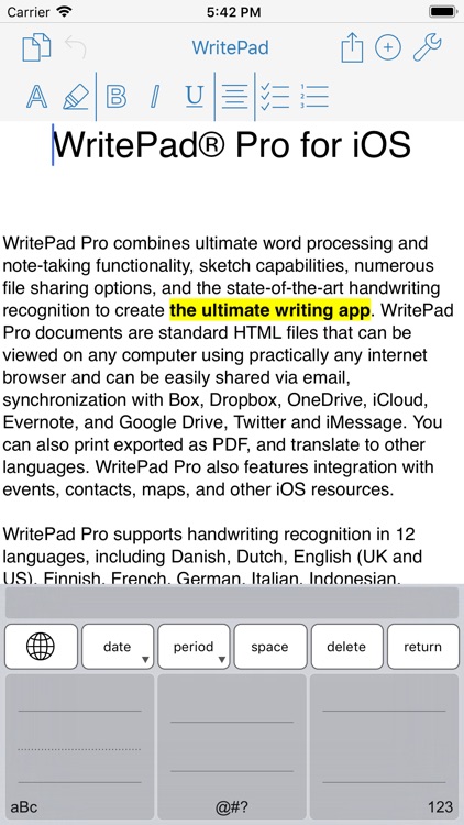 WritePad Professional