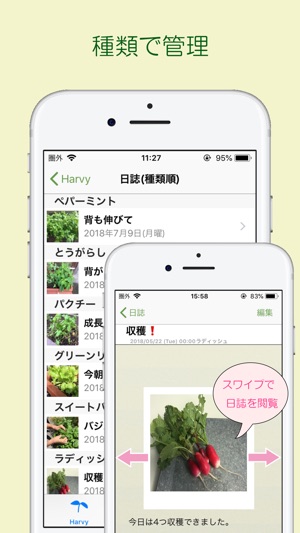 Harvy(圖4)-速報App