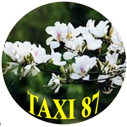 Taxi 87