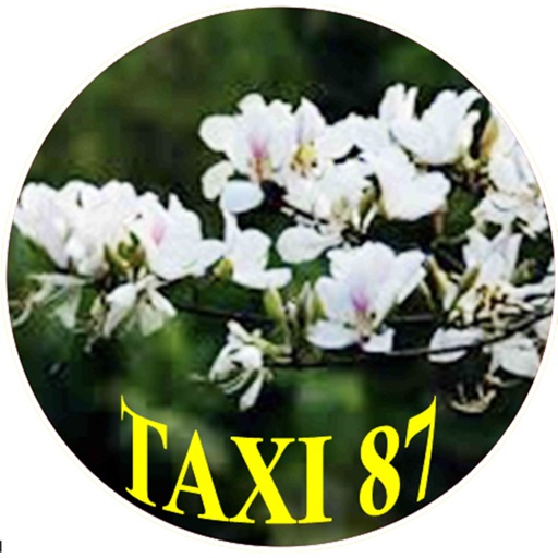 Taxi 87 icon