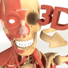 Top 29 Medical Apps Like 3D Anatomy + - Best Alternatives