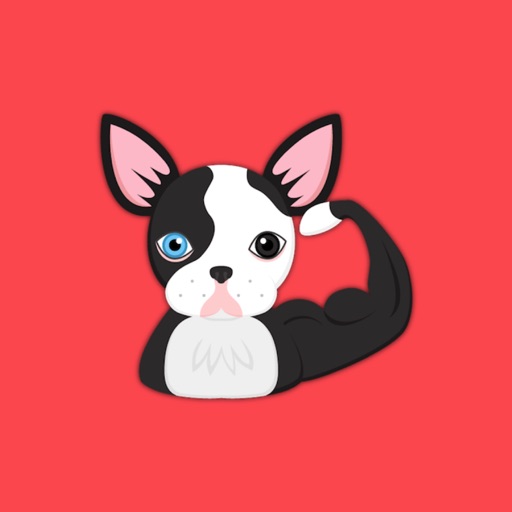 Splash Boston Terrier iOS App