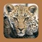 **Universal app - designed for BOTH iPhone and iPad**