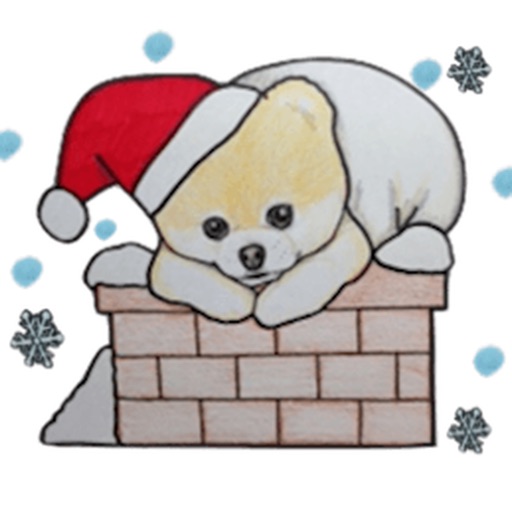 Pomeranian Dog in Xmas Sticker icon