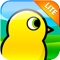 Raise your duckling into a champion racer
