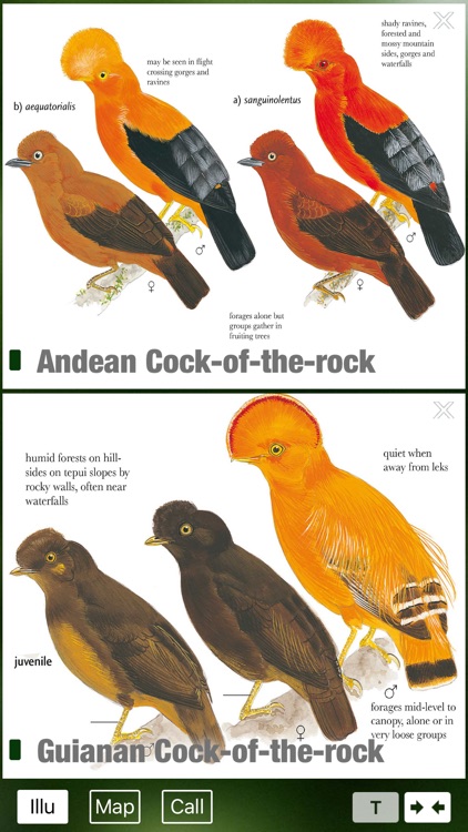 All Birds Colombia field guide screenshot-3