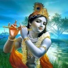 The Krishna