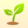 Get Forests:Focus for iOS, iPhone, iPad Aso Report