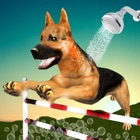Top 49 Games Apps Like Dog Race & Stunts Wash Thru - Best Alternatives