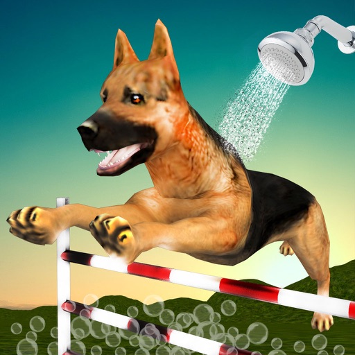 Dog Race & Stunts Wash Thru icon
