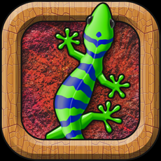 Activities of Crazy Lizard - The Amazing Journey