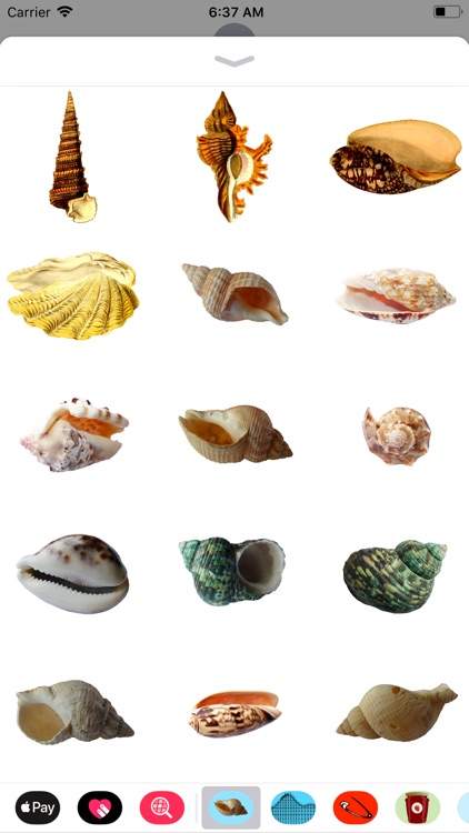 Seashell Stickers