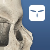 3D Skull Atlas apk