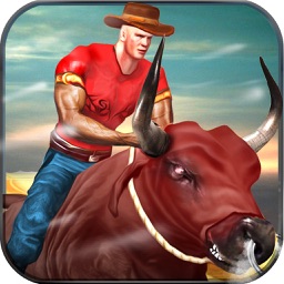 Bull Racing & Riding