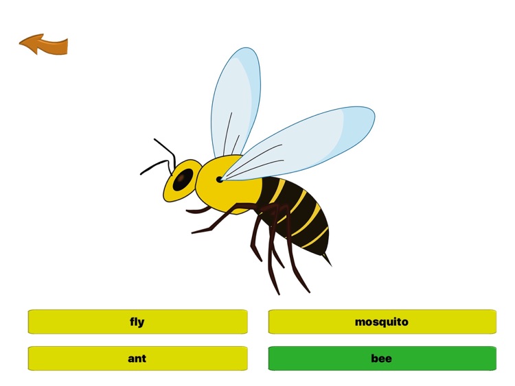 Flashcards ESL screenshot-3